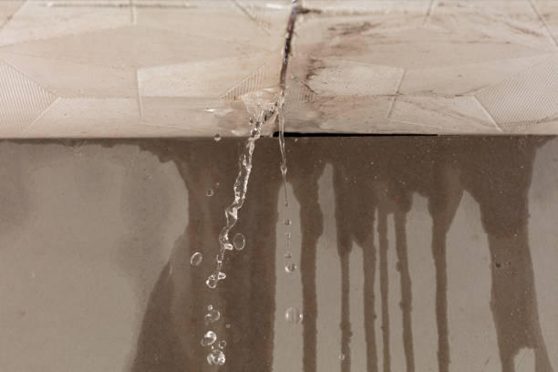 Professional Commercial Water Damage Restoration technician working in Springdale, WA